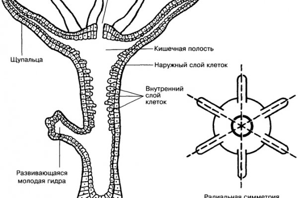 Как заказать на кракене